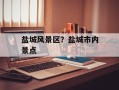 盐城风景区？盐城市内景点