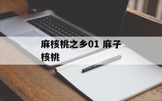 麻核桃之乡01 麻子核桃