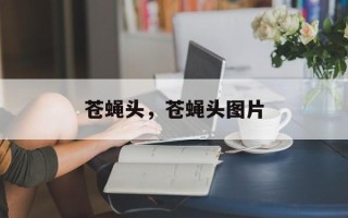 苍蝇头，苍蝇头图片