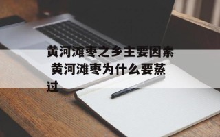 黄河滩枣之乡主要因素 黄河滩枣为什么要蒸过