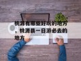 桃源有哪些好玩的地方，桃源县一日游必去的地方
