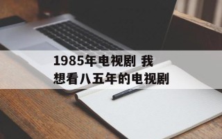1985年电视剧 我想看八五年的电视剧