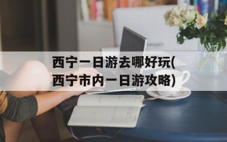 西宁一日游去哪好玩(西宁市内一日游攻略)