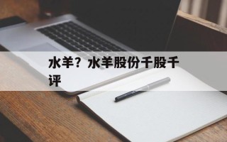 水羊？水羊股份千股千评
