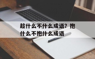 趁什么不什么成语？抱什么不抱什么成语