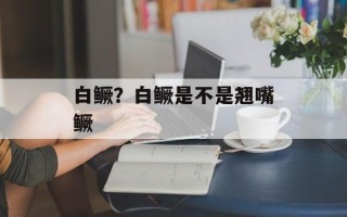 白鳜？白鳜是不是翘嘴鳜