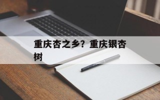 重庆杏之乡？重庆银杏树