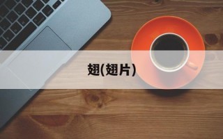 翅(翅片)