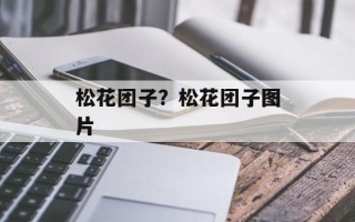 松花团子？松花团子图片