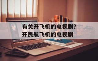 有关开飞机的电视剧？开民航飞机的电视剧