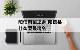 阳信鸭梨之乡 阳信县什么梨最出名