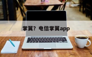 掌翼？电信掌翼app