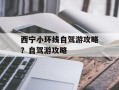 西宁小环线自驾游攻略？自驾游攻略