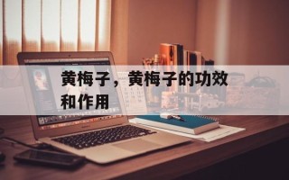 黄梅子，黄梅子的功效和作用