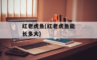 红老虎鱼(红老虎鱼能长多大)