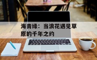 海青缘：当浪花遇见草原的千年之约