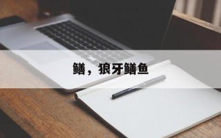 鳝，狼牙鳝鱼
