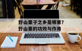 野山栗子之乡是哪里？野山栗的功效与作用