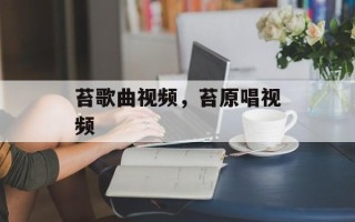苔歌曲视频，苔原唱视频