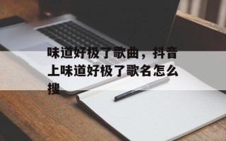 味道好极了歌曲，抖音上味道好极了歌名怎么搜