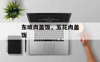 东坡肉盖饭，五花肉盖饭