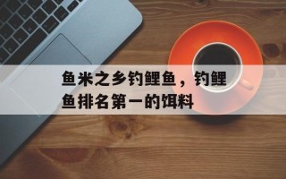 鱼米之乡钓鲤鱼，钓鲤鱼排名第一的饵料