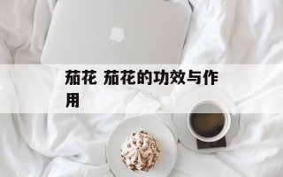 茄花 茄花的功效与作用