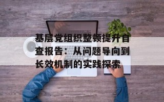 基层党组织整顿提升自查报告：从问题导向到长效机制的实践探索