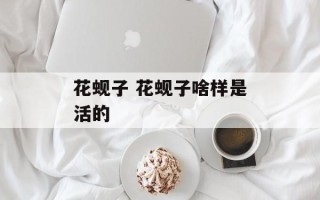 花蚬子 花蚬子啥样是活的