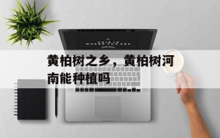 黄柏树之乡，黄柏树河南能种植吗