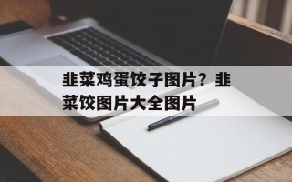 韭菜鸡蛋饺子图片？韭菜饺图片大全图片