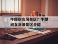牛郎织女风景区？牛郎织女沂源景区介绍
