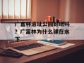 广富林遗址公园好玩吗？广富林为什么建在水下