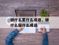 骈什么累什么成语，骈什么俪什么成语