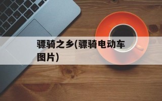 骠骑之乡(骠骑电动车图片)