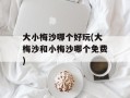 大小梅沙哪个好玩(大梅沙和小梅沙哪个免费)