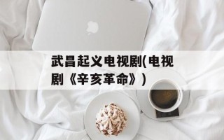 武昌起义电视剧(电视剧《辛亥革命》)