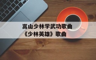嵩山少林学武功歌曲 《少林英雄》歌曲