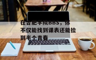 在合肥学院BBS，你不仅能找到课表还能捡到半个青春
