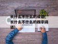 长什么不什么的成语(长什么不什么的四字词语)
