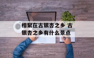 相聚在古银杏之乡 古银杏之乡有什么景点