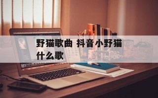 野猫歌曲 抖音小野猫什么歌