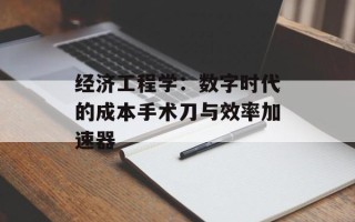 经济工程学：数字时代的成本手术刀与效率加速器