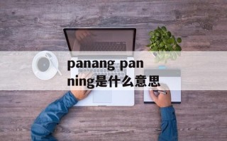 panang panning是什么意思