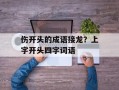 伤开头的成语接龙？上字开头四字词语