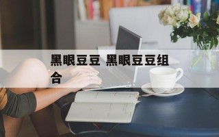 黑眼豆豆 黑眼豆豆组合
