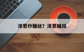 洋葱炒鳝丝？洋葱鳝段