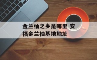 金兰柚之乡是哪里 安福金兰柚基地地址