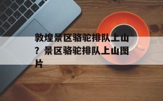 敦煌景区骆驼排队上山？景区骆驼排队上山图片