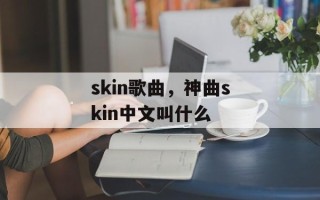 skin歌曲，神曲skin中文叫什么